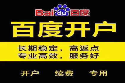 某行业sem代运营推广公司成功案例分析