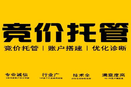 某企业通过SEO优化，提升网站转化率的实战案例